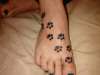 paws tattoo
