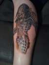 predator tat tattoo