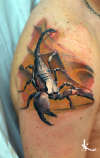 scorpion color tattoo
