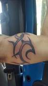 Bicep Tribal tattoo