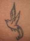 Bird of Paradise tattoo