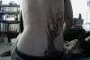 Tree tattoo