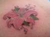 lilly tattoo