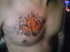 maple leaf tattoo