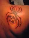 spider tattoo