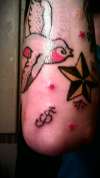 Sailor Jerry Traditional Tattoo S.J. Logo