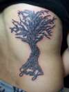 family tree tattoo