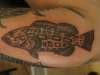 grouper fish tattoo