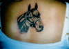 Horse tattoo