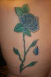 rose tattoo