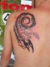 scorpion tattoo