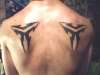 tribal shoulder tat tattoo