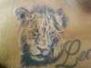 Lion tat tattoo