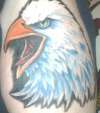 My eagle tattoo