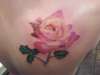 Roses tat tattoo