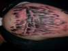 Skull tattoo