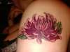 chrysanthemum tattoo