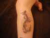 hummingbird tattoo