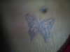 Butterfly tattoo