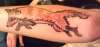 Custom Tribal Fox Tattoo by Trickstattoo healed
