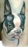 My first tattoo.