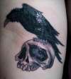 Raven Sitting On A Skull tattoo