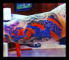 Right arm Dragon Claw inside bicep tattoo