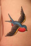 Swallow tattoo