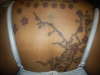 apple blossom tree (n progress) tattoo