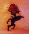 New Rose tattoo
