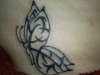 Butterfly w/ Tribal pattern tattoo