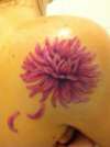 Dahlia tattoo