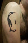 Pirate Penguin tattoo