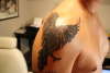 Raven tattoo