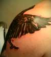 Raven3 tattoo