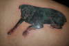 Rotty tattoo
