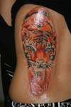 Tiger color tattoo