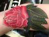 rose tattoo