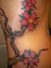 tree tattoo