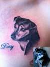 Dog Portrait tattoo