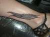 Feather tattoo