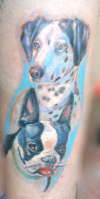 My dogs tattoo