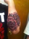 Roses tattoo