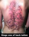 Stage one of rose back piece tattoo