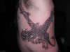 stuarts dragon tattoo