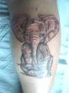Baby Elephant tattoo