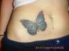 Butterfly tattoo