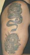 Oriental dragons tattoo