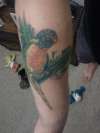 Rainbow lorikeet - part of aussie animal sleeve tattoo