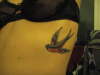 Sparrow tattoo